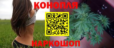 стафф Берёзовский